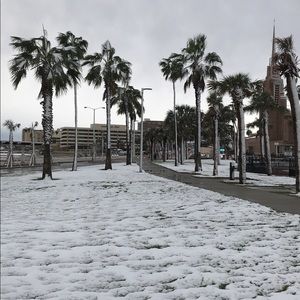 Meet your Posher, Analisa